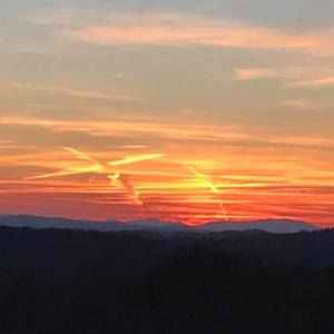 Meet your Posher, Renae